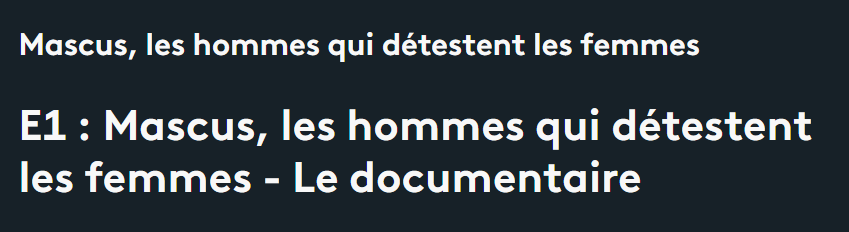 Mascus, les hommes qui détestent les femmes