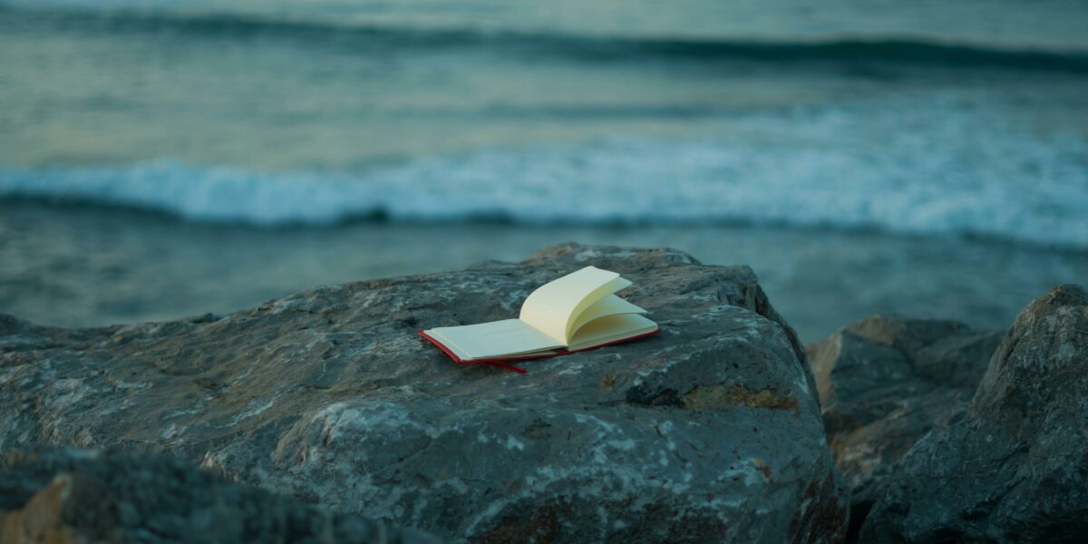 Lynchées. Pour avoir performé.