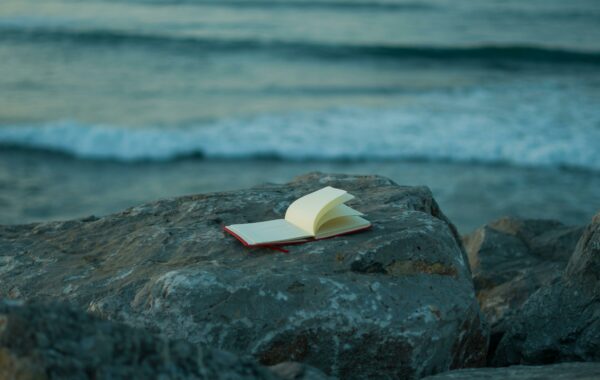 Lynchées. Pour avoir performé.