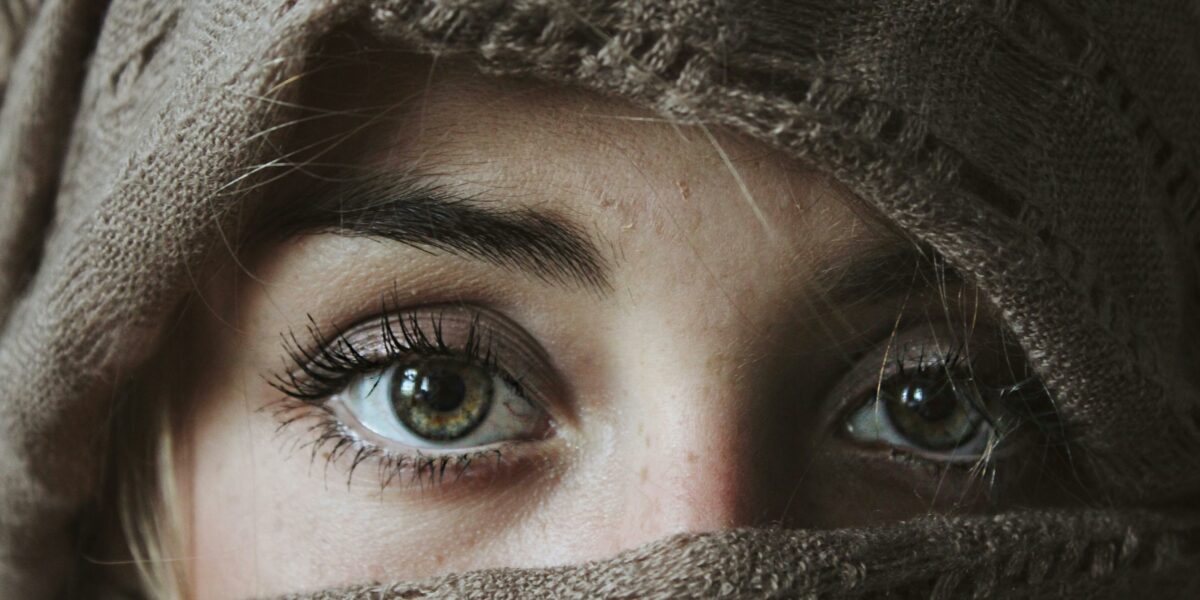 Infolettre EFHCA – Novembre 2025