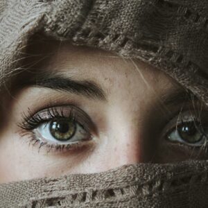 Infolettre EFHCA – Novembre 2025